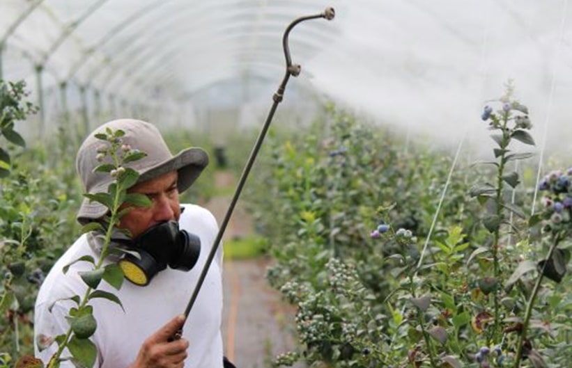 Biocides and Evolving Regulation