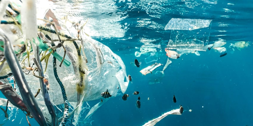 Environmental Compliance Services